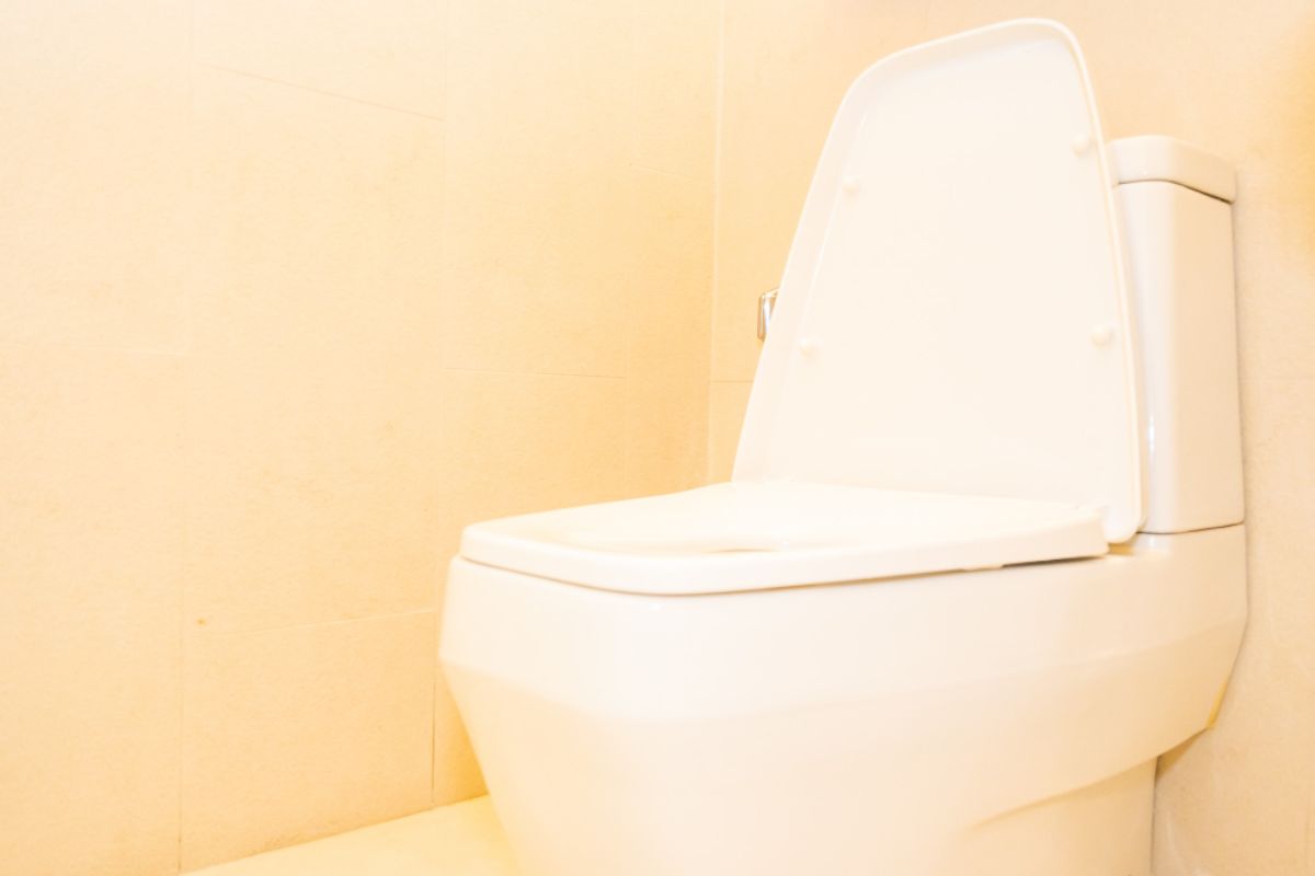 Toilet seat made through plastic injection molding